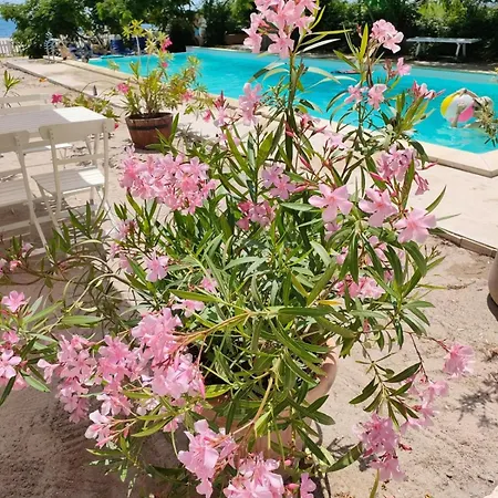 Pensión Casa De Mare