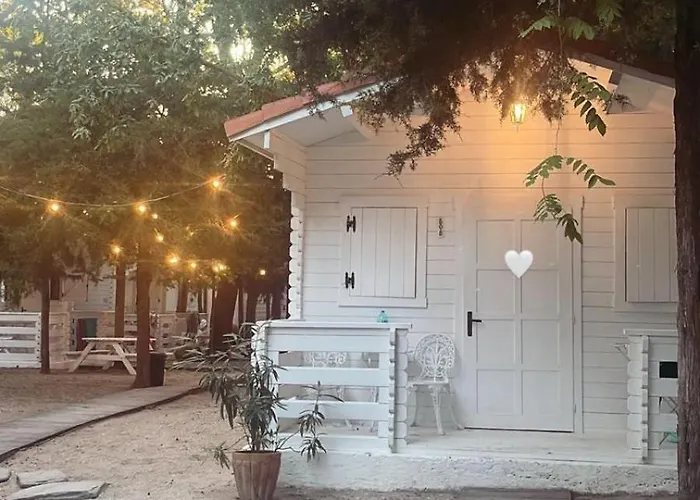 Konukevi Casa De Mare Olimp