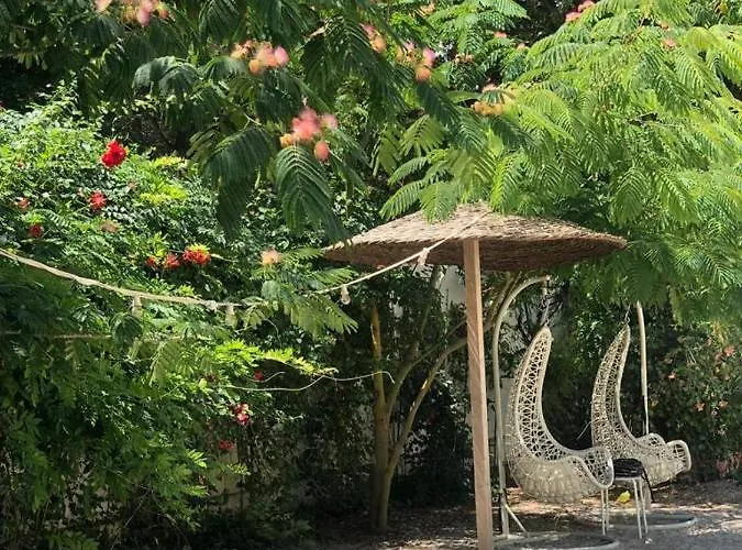 Casa De Mare Konukevi 3*