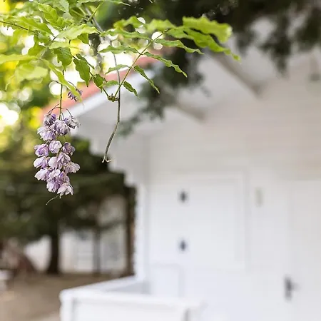 Casa De Mare بيت ضيافة