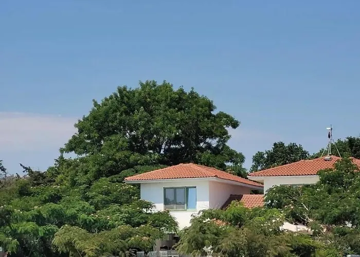 Guest house Casa De Mare 3*