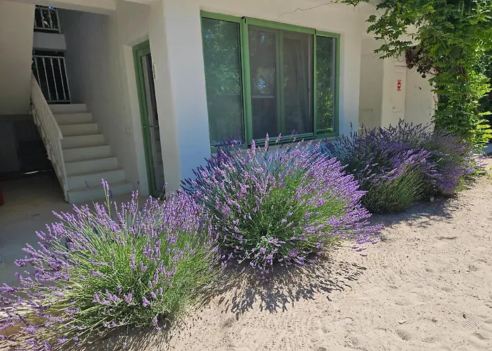 Guest house Casa De Mare Olimp