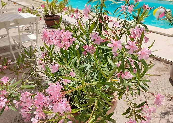 Guest house Casa De Mare